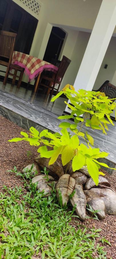 Sunset Villa เนกอมโบ ภายนอก รูปภาพ